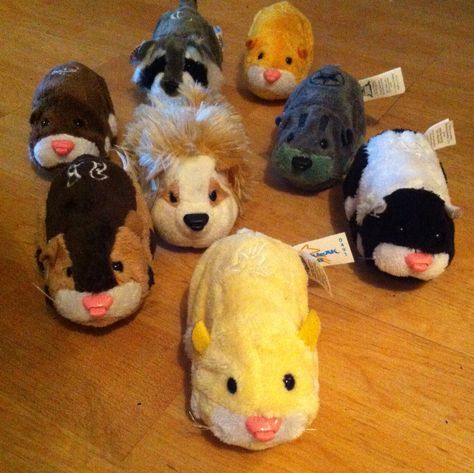 Nostalgic Toys 2000s, Childhood Plushies, 2010 Toys, Growing Up In The 2000s, Zhu Zhu Pets, Childhood Aesthetic, Zhu Zhu, Nostalgia 2000s, 00s Nostalgia