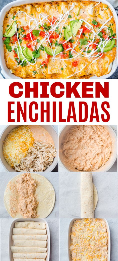 Mexican Chicken With Cheese Sauce, Mexican Chicken With Cheese, Chicken With Cheese Sauce, Low Carb Flammkuchen, Chicken With Cheese, Chicken Enchiladas Recipe, Homemade Mexican, Homemade Enchilada Sauce, Homemade Enchiladas