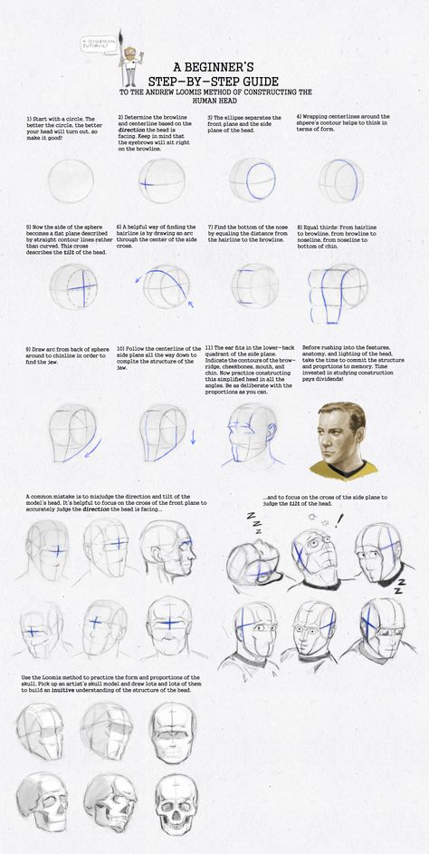 Anatomy Head, Figure Drawing Female, Loomis Method, Drawing The Human Head, Head Anatomy, Face Proportions, Andrew Loomis, 얼굴 드로잉, 얼굴 그리기