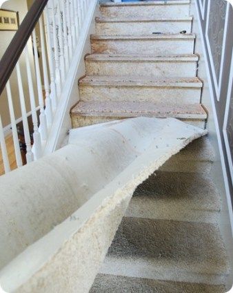 ripping out carpet Redo Stairs, Carpet Diy, Long Carpet, Stair Makeover, Removing Carpet, Diy Staircase, Stairs Makeover, Staircase Remodel, Staircase Makeover