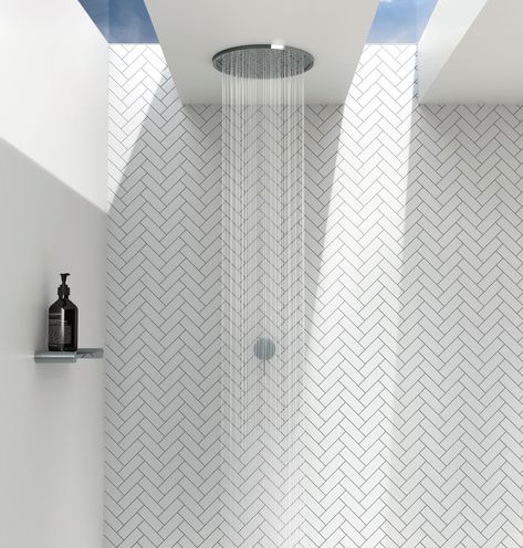 Shower Head Ceiling, Floating Toilet, Bathroom Under Stairs, Ceiling Shower Head, Wet Room Shower, Loft Bathroom, Shower Rose, Master Bath Remodel, Outdoor Bathrooms