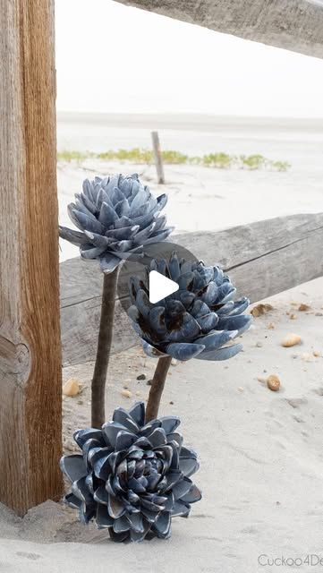 Diy Mussel Shell Crafts, Mussel Shell Crafts, Mussel Shell Art, How To Clean Mussels, Blue Mussel, Oyster Art, Oyster Shell Crafts, Shell Flowers, Mussel Shell