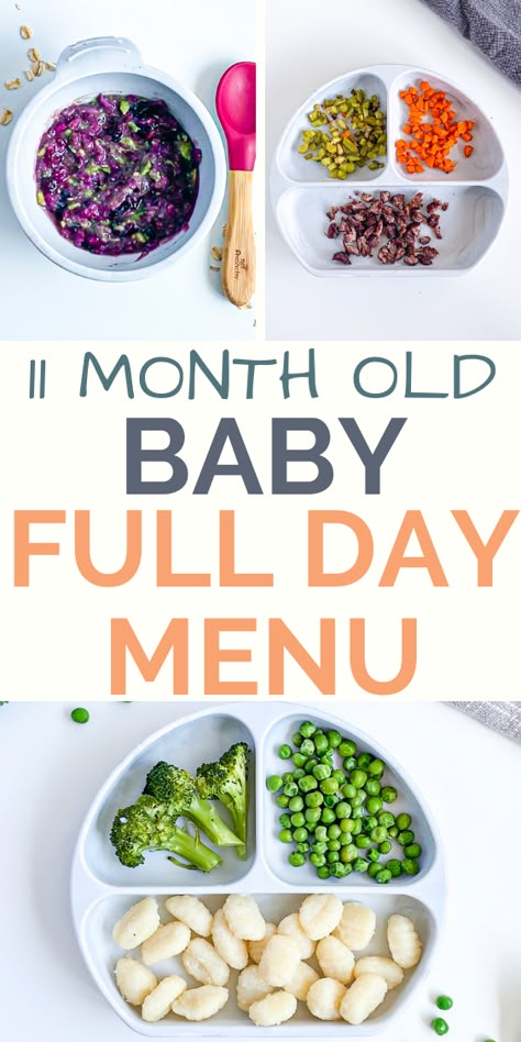 Recipes For 11 Month Old, 11 Month Old Food, 11 Months Baby Food, Baby Meal Plan, 11 Month Old Baby, Baby Lunch, Baby Dinner, Baby Image, Baby Breakfast