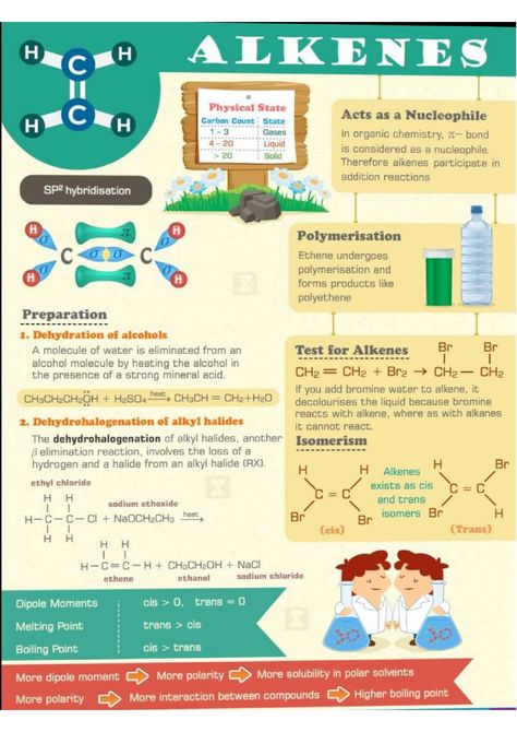 Learn about Hydrocarbons - Chemistry Short Notes Chemistry Short Notes, Mineral Nutrition, Redox Reactions, Human Body Facts, Organic Molecules, Short Notes, Cell Cycle, Atomic Structure, Female Reproductive System