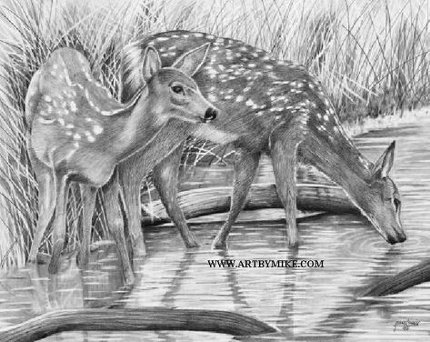 Rivers Edge Sleeping Fawn Tattoo, Deer Drawings, Fawn Tattoo, Tattoo Room, Deer Tattoos, Deer Drawing, Michigan Art, Bible Wall Art, Sleeping Animals