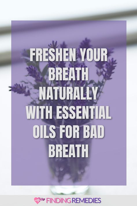 Freshen Your Breath Naturally with Essential Oils for Bad Breath Remedies For Bad Breath, Causes Of Bad Breath, Homemade Mouthwash, Self Consciousness, Natural Mouthwash, Bad Breath Remedy, Clove Essential Oil, Spearmint Essential Oil, Minty Fresh