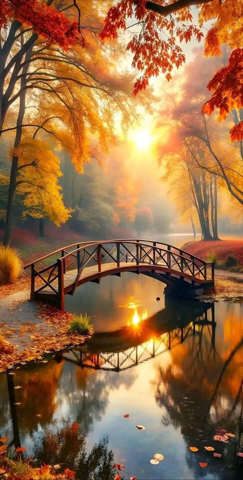 Nature Good Morning, Sunrise Wallpaper, Autumn Leaves Art, Good Morning All, Fall Background, Autumn Scenes, Beautiful Wallpapers Backgrounds, Autumn Scenery, Beautiful Landscape Wallpaper