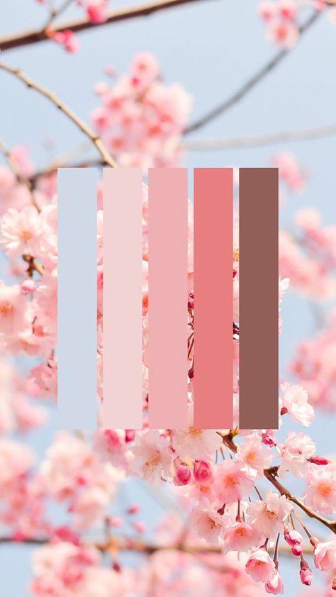 Color Palette | Color Scheme | Moodboard | Colorpalette | Design | Colors | Aesthetic | Inspiration | Graphic Design | Branding | Rebranding | Brand | Color Palette Collection | Сolor Сombination | Background | Branding Ideas | Esthetics Light Pink Color Palette, Colors Aesthetic, Pink Color Palette, Pallet Wedding, House Color Palettes, Spring Color Palette, Color Palette Pink, Branding Ideas, Brand Color Palette