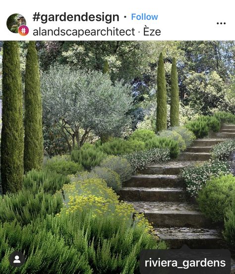 Mediterranean Garden Design, Provence Garden, Tuscan Garden, Garden On A Hill, Mediterranean Landscaping, Dry Garden, Garden Steps, Mediterranean Garden, French Garden