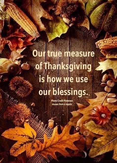 Blessed Pictures, Thanksgiving Board, Happy Thanksgiving Pictures, Calendar Quotes, Week Quotes, Thanksgiving Messages, Thanksgiving Prayer, Thanksgiving Blessings, Thanksgiving Pictures