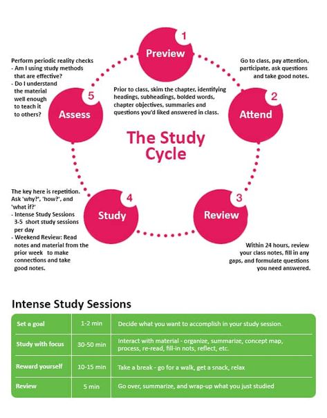 The Study Cycle: Preview, Attend, Review, Study, Assess Study Cycle, Finals Study Tips, Finals Study, Teaching College, Study Tips For Students, Tips For Students, Study Methods, Past And Future, Effective Learning