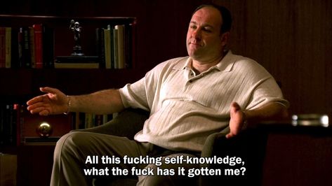 Tony Soprano Quotes, Sopranos Quotes, Tony Soprano, The Sopranos, I Love Cinema, Movie Lines, Film Quotes, Tv Quotes, Music Magazines