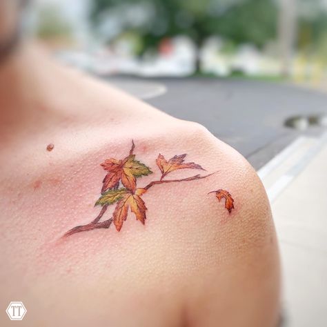 Tree With Leaves Tattoo, Fall Color Tattoo, Autumn Botanical Tattoo, Maple Leaf Branch Tattoo, Maple Branch Tattoo, Fall Leaves Tattoo Autumn, Aspen Leaves Tattoo, Fall Trees Tattoo, Fall Sleeve Tattoo