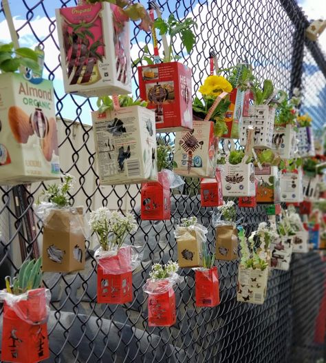 Repurposing Milk Cartons for the Garden - KidsGardening Uses For Milk, Milk Carton Crafts, Strawberry Box, Exhibition Display Design, Preschool Garden, Milk Cartons, Carton Design, Milk Crates, School Garden