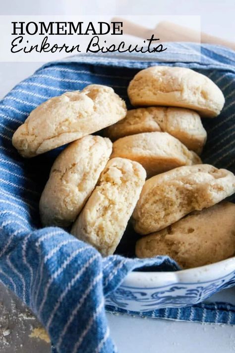 einkorn biscuits in a bowl lined with a blue and white stripped towel and a rolling pin in the background Einkorn Scones, Einkorn Biscuits, Ancient Grains Recipes, Einkorn Bread, Flour Biscuits, Einkorn Recipes, Scratch Cooking, Einkorn Flour, Wheat Recipes