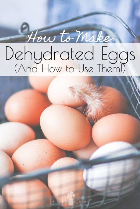 Dehydrated Eggs - How to Make and Use - Little House Living Dehydrated Eggs, Dehydrating Eggs, Preserve Eggs, Dehydrated Recipes, Preserving Eggs, Dehydrating Food Storage, Food Dehydration, Egg Aprons, Dehydrated Foods