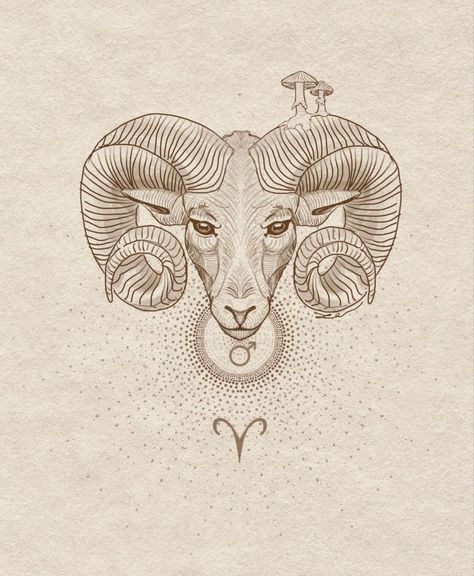 Aries Ram Aesthetic, Aries Zodiac Animal, Aries Tattoo Animal, Aries Animal Tattoo, Aires Zodiac Art, Taurus And Aries Tattoo, Aries Drawing Zodiac, Zodiac Signs Aries Art, Aries Ram Drawing