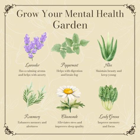 Medicinal Herbs Remedies, Spiritual Journaling, Horticulture Therapy, Witchy Garden, Botanical Sketchbook, Medicinal Herbs Garden, Flowers To Grow, Medicinal Garden, Focus And Concentration