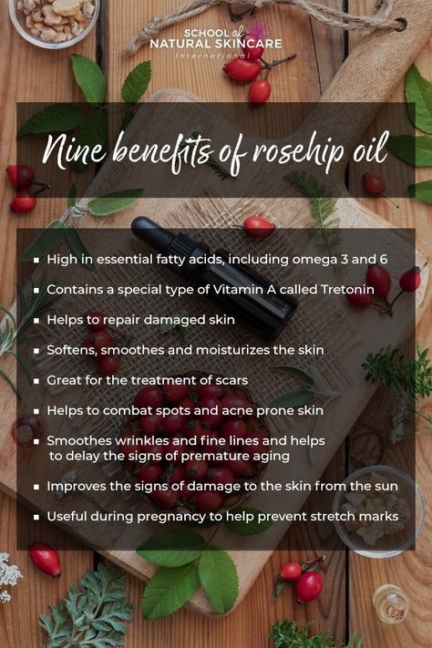 9 Natural Benefits of Rosehip Oil for Your Skin - School of Natural Skincare Rosehip Seed Oil Benefits, Rose Hips Benefits, Benefits Of Rosehip Oil, Essential Oils For Wrinkles, Oils For Wrinkles, Rosehip Oil Benefits, Folk Remedies, Esthetician Marketing, Natural Skin Care Ingredients