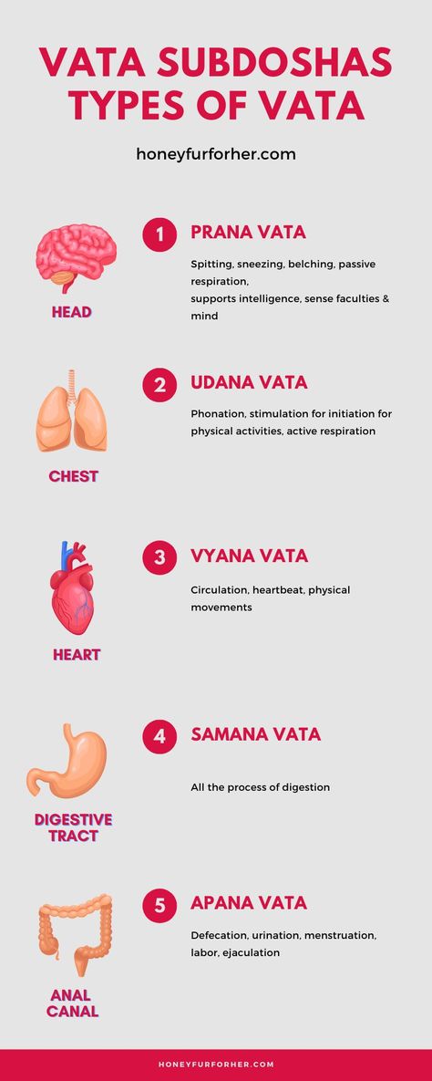 Vata Pacifying, Vata Diet, Ayurveda Dosha, Ayurveda Lifestyle, Ayurveda Vata, Ayurveda Diet, Vata Dosha, Ayurveda Life, Ayurvedic Diet