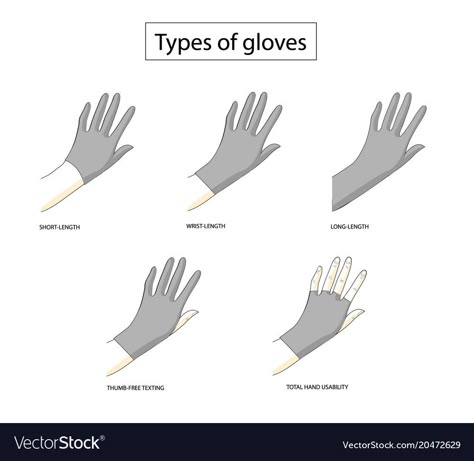 Type Of Gloves, Gloves Drawing, Types Of Gloves, Fashion Knowledge, Abaya Collection, Easy Korean Words, Character Wardrobe, Outfit References, Types Of Hands