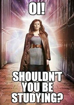 Jw Humor, Doctor Who Funny, Doctor Who Memes, Catherine Tate, Donna Noble, 10th Doctor, Wibbly Wobbly Timey Wimey Stuff, The First Americans, Torchwood