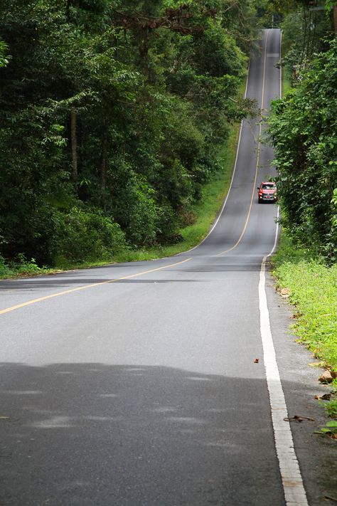 Beautiful road in Khao Yai, Thailand #thailand #khaoyai #road #ford Khao Yai, Beautiful Roads, Winding Road, Thailand, Country Roads, Ford, Road