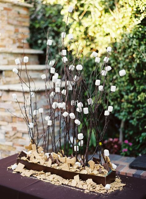 Smores Buffet, Smores Table, Smores Station, Camping Clothing, Reception Bar, S'mores Bar, Santa Barbara Wedding, Event Food, Bar Mitzvah