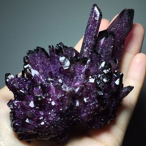 A dark amethyst quartz cluster. This variant of amethyst is somewhat rare. #Amethyst #Quartz Purple Inspiration, Amethyst Healing Properties, Crystal Aesthetic, Purple Quartz, Amethyst Healing, Spirit Quartz, Pretty Rocks, Inspiring Things, Crystal Magic