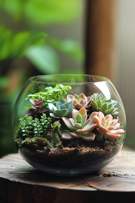 Terrarium Aesthetic, Succulent Aesthetic, Garden Design Indoor, House Plants Aesthetic, Plant Bedroom Aesthetic, Indoor Interior Design, Indoor Garden Design, Terrarium Care, Garden Ideas Indoor