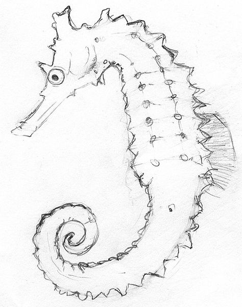 seahorse pencil sketch Seahorse Tattoo Design Drawings, Seahorse Drawing Sketches, Seahorse Sketch, Seahorse Tattoo Black And White, Seahorse Line Drawing, Seahorse Outline, Cartoon Seahorse Tattoo, Seahorse Drawing, Seahorse Painting