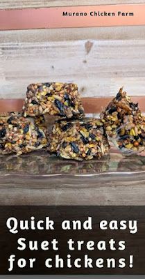 Treats For Chickens, Suet Recipe, Chickens In The Winter, Suet Cakes, Meal Worms, Chicken Snacks, Chicken Health, Chicken Treats, Raising Backyard Chickens