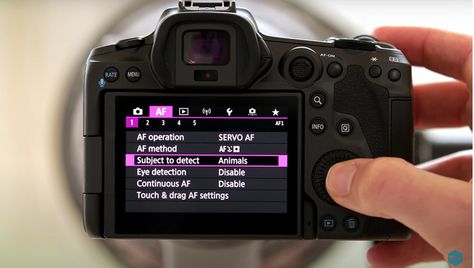 The Best Canon EOS R5 Settings for Bird Photography | Fstoppers Canon R5 Tips, Canon R5 Photography, Canon R5, Fantastic Video, Music Composition, Canon Photography, Cloudy Day, Bird Photography, Landscape Photographers