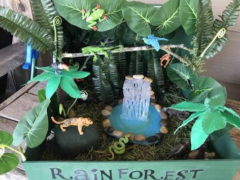 My sons rainforest habitat Grassland Habitat Diorama, Tiger Diaroma, Rain Forest Habitat Project For Kids, Cheetah Habitat Diorama, Rainforest Shoebox Project, Animal Diorama Habitats, Rainforest Ecosystem Project, Rainforest Habitat Diorama, Rainforest Diorama Ideas