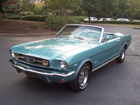 1960s Ford Mustang, 1969 Ford Mustang Convertible, 1960 Mustang, Ford Mustang 1960, 1969 Mustang Convertible, Ford Truck Models, 1966 Ford Mustang Convertible, 65 Mustang Convertible, 1967 Mustang Convertible