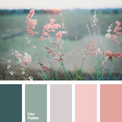 Color Palette #4392 | Color Palette Ideas In Color Balance, Calm Color Palette, Seeds Color, Color Palette Ideas, Wall Living Room, Spring Color Palette, Pink Color Schemes, Color Schemes Colour Palettes, Palette Ideas