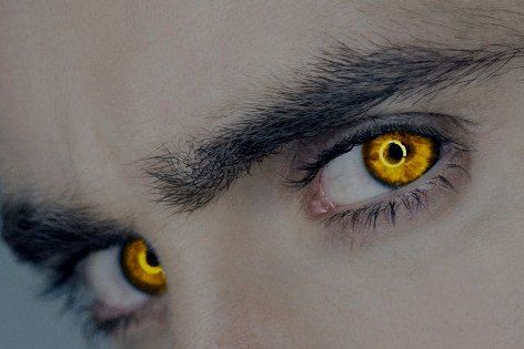 Werewolf Eyes Aesthetic, Wolf Eyes Aesthetic, Yellow Eyes Aesthetic, Werewolf Eyes, Nefertari Vivi, Werewolf Aesthetic, Wolf Eyes, Demon Eyes, Character Inspiration Male