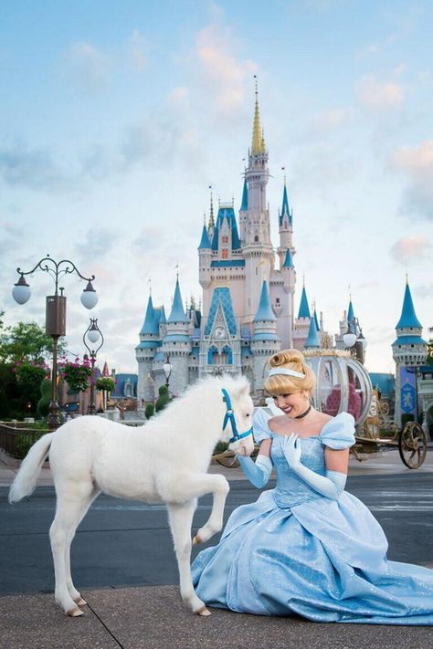 Things to Do at Disney World Orlando, Florida Without Paying Theme Park Admission Walt Disney Paris, Disney World Castle, Disney Word, Disney Parque, Tema Disney, Disney World Pictures, Disney Face Characters, Cinderella Disney, Disney Castle