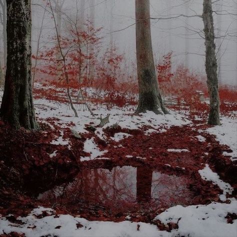 Blood In Snow, Blood On Snow, Art Bizarre, Vampire Aesthetic, Blood Art, Dark Photography, Alam Yang Indah, Red Aesthetic, Nature Aesthetic