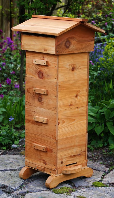 Bees in the garden. Pollination, honey and wax for projects. Top Bar Bee Hive, Pollinator Garden Design, Keeping Bees, Top Bar Hive, Bird Pics, The Bees Knees, Honey Bee Hives, I Love Bees, Bee Boxes