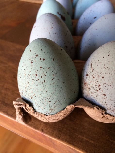 Wooden Eggs Crafts, Diy Dishwasher Tablets, Homemade Fabric Softener, Naturally Dyed Easter Eggs, Mercury Glass Diy, Cedar Hill Farmhouse, Blue Chalk Paint, Easy Fall Wreaths, Easter Stuff