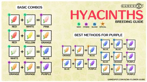 Animal Crossing: New Horizons Hybrid Flowers Guide - How To Breed Flowers - GameSpot Acnh Hybrid Flower Layout, Animal Crossing Flower Breeding, Flower Acnh, How To Breed Flowers Animal Crossing, Flowers In Animal Crossing, Animal Crossing Flower Guide, Acnh Hybrid Flower Chart, Flower Breeding Anch, Acnh Flowers