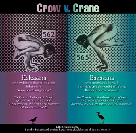 Ayurvedic Living, Crane Pose, Yoga Teaching, Yoga Time, Crow Pose, Yoga Guide, Yoga Times, Yoga Moves, Pose Yoga