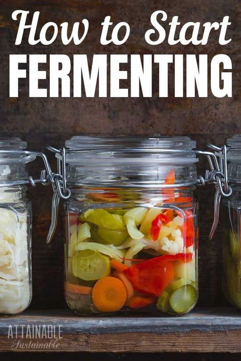 How To Make Fermented Foods, Ferment Vegetables, Sustainable Cooking, Fermenting Recipes, Fermenting Vegetables, Raw Salads, Attainable Sustainable, Fermented Vegetables Recipes, Fermenting Foods