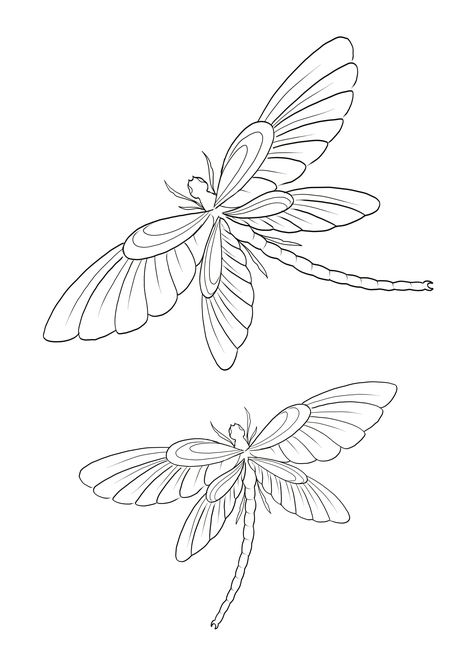 Drawing Of Dragonfly, Insect Tattoo Stencil, Dragon Fly Wings Drawing, Dragonfly Tattoo With Color, Dragon Fly Outline, Dragonfly Tattoo Stencil, Dragon Fly Tattoo Designs, Dragonfly Outline, Dragonfly Sketch