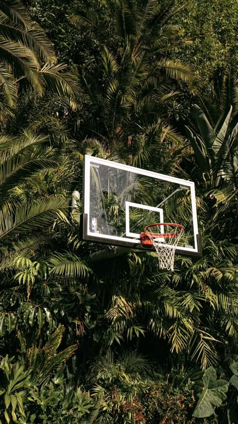 Basketball Hoop Aesthetic, Hoop Aesthetic, Outdoor Misting Fan, Basketball Photography, View Wallpaper, House Arch Design, Basketball Wallpaper, Sports Graphic Design, Basketball Pictures