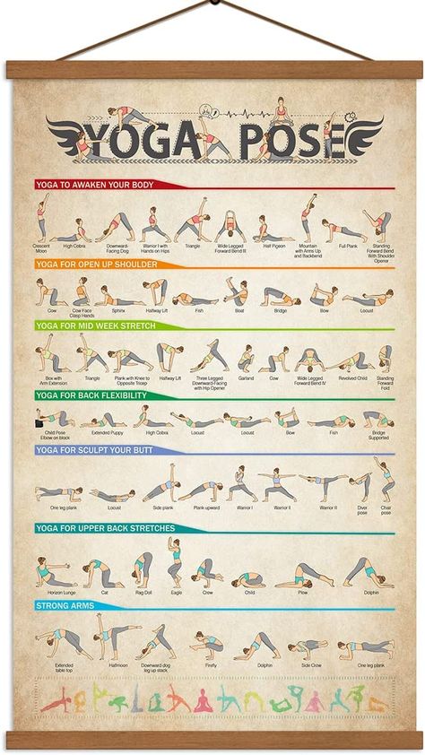 Full Body Workout Beginner, Hath Yoga, Gym Full Body Workout, Yoga Poses Poster, Yoga Poses Chart, Yoga Ideas, Yoga Hands, Full Body Workouts, Yoga Lover Gift