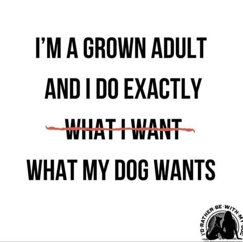 Dog Mom Quotes, Dog Quotes Funny, Dog Rules, Dog Mama, Crazy Dog, Animal Quotes, Dog Quotes, Dog Memes, My Dog