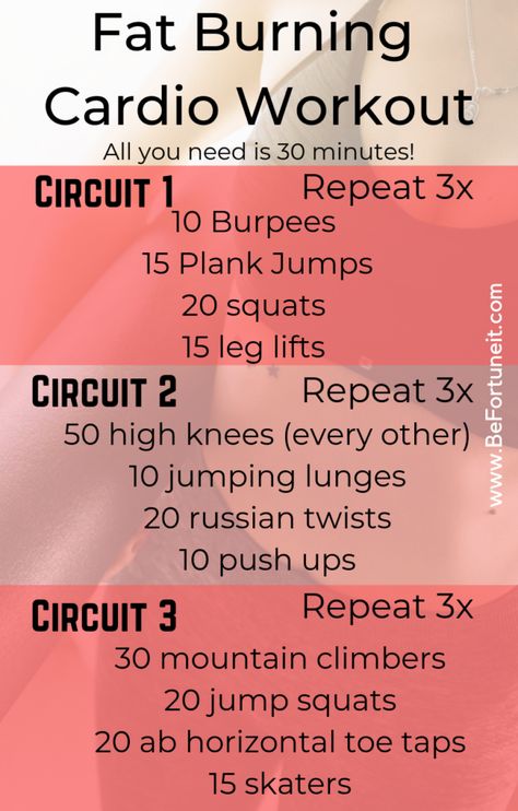 Fat Burning Cardio Workout Chinese Wisdom, Workout Fat Burning, 500 Calorie, Fat Burning Cardio, Build Muscle Mass, Workout Cardio, Cardio Training, Stomach Fat, Fat Burning Workout