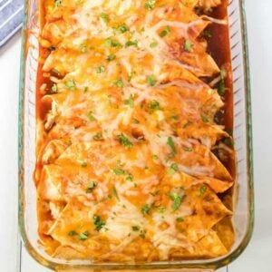 Best Chicken Enchiladas - Princess Pinky Girl Kid Friendly Dinners, Best Chicken Enchilada Recipe, Easy Kid Friendly Dinners, Kid Friendly Meals Dinner, Easy Chicken Enchilada Recipe, Princess Pinky Girl, Fun Dinner, Pinky Girl, Chicken Enchiladas Easy